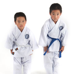 littleTigers kids martial arts melbourne