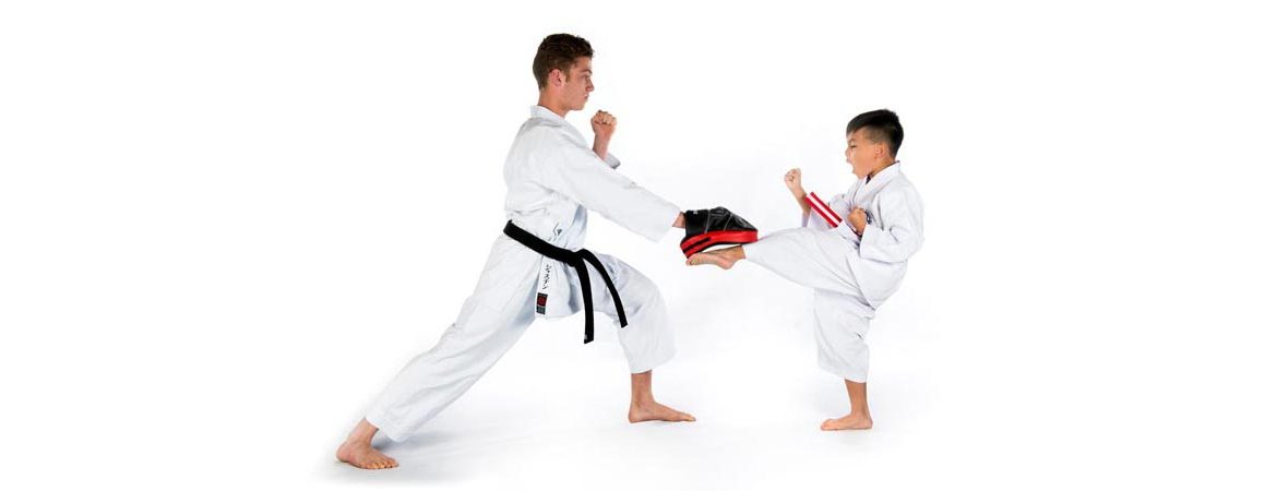 Martial Arts Training