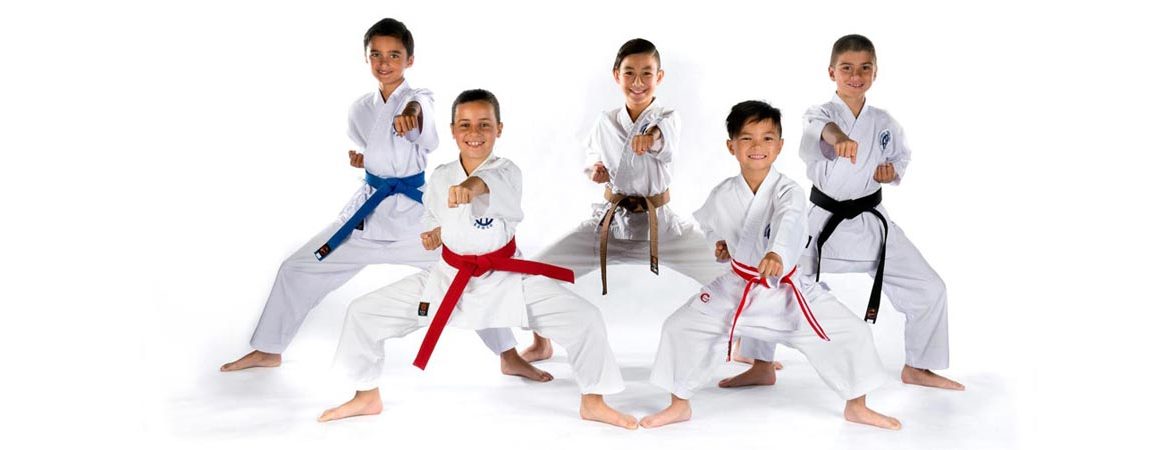 Martial Arts Training