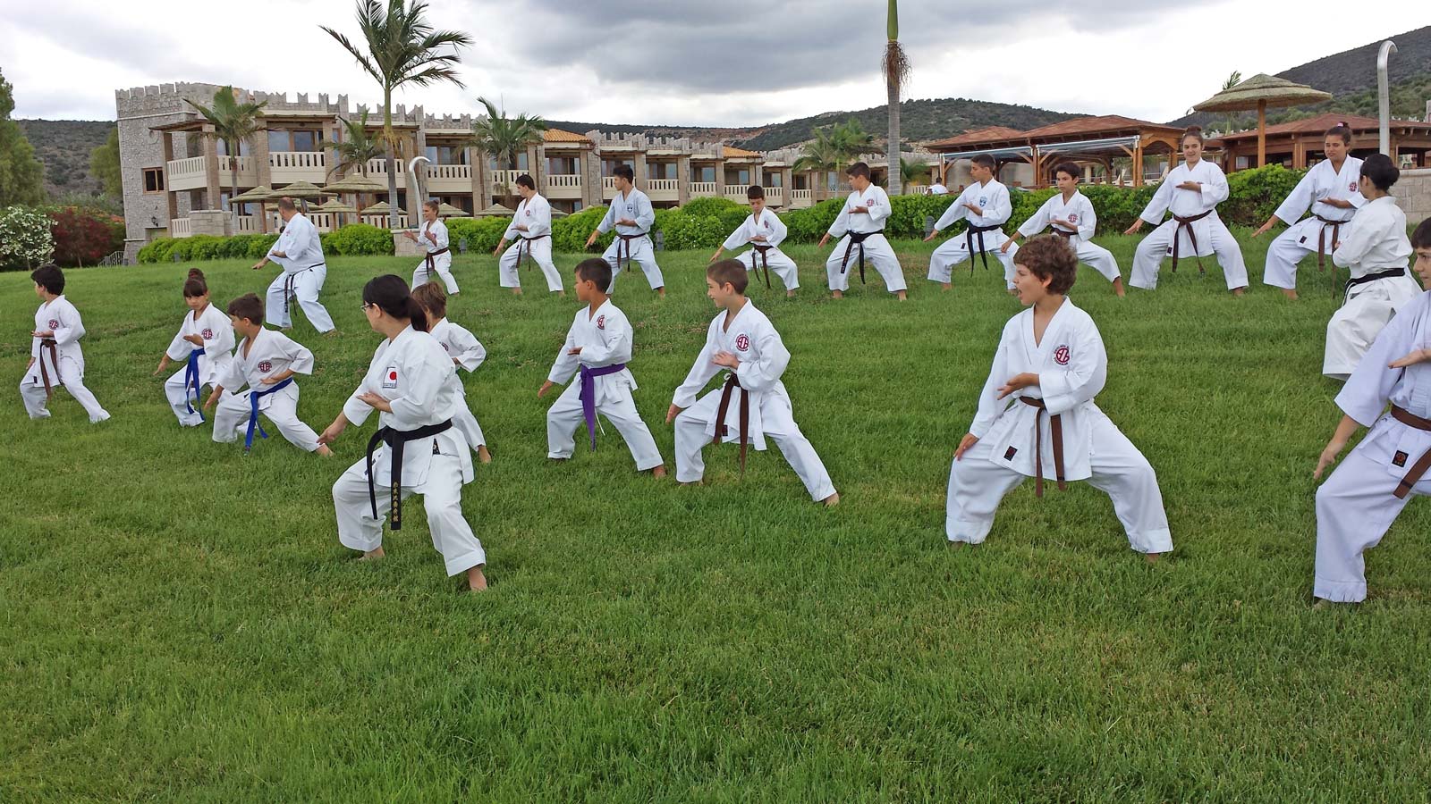 2-Kata-Course-by-Sonoyama-Sensei martial arts academy melbourne