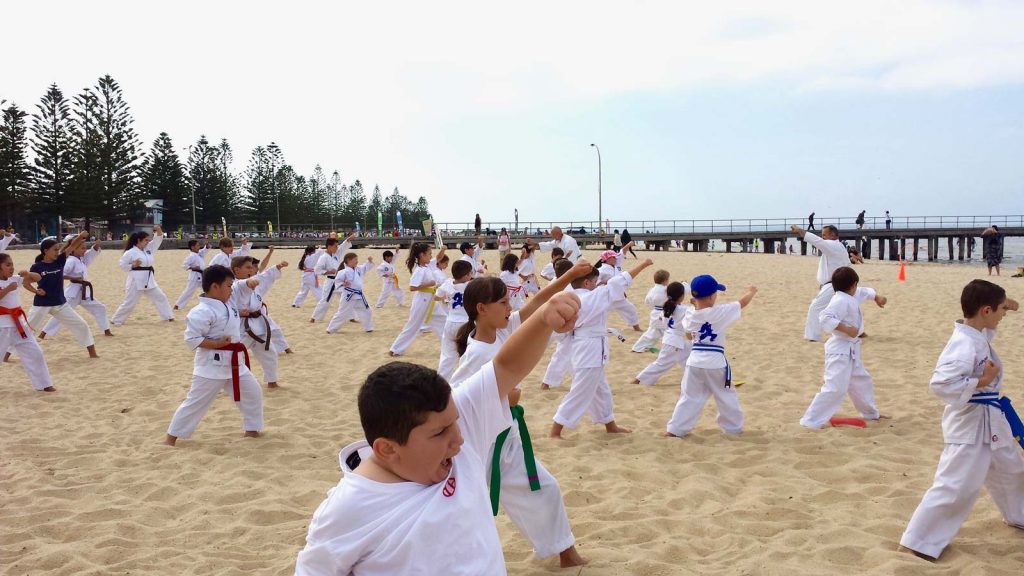 Karate Schools