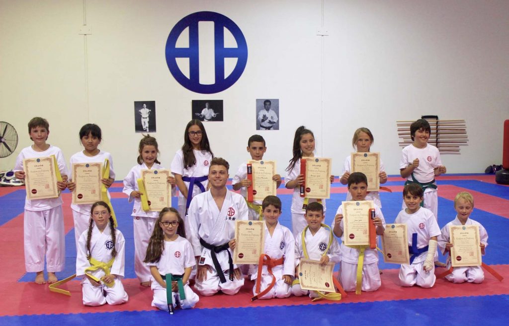 Kids Karate Lessons